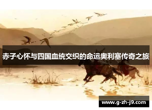 赤子心怀与四国血统交织的命运奥利塞传奇之旅 赤子心怀与四国血统交织的命运奥利塞传奇之旅