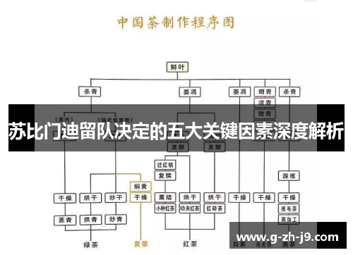苏比门迪留队决定的五大关键因素深度解析