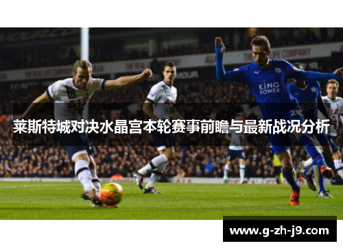 莱斯特城对决水晶宫本轮赛事前瞻与最新战况分析