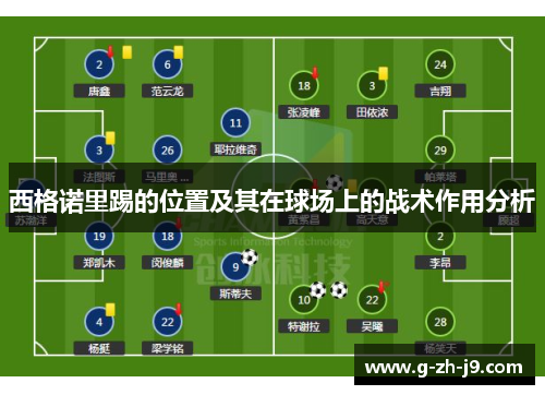 西格诺里踢的位置及其在球场上的战术作用分析 西格诺里踢的位置及其在球场上的战术作用分析