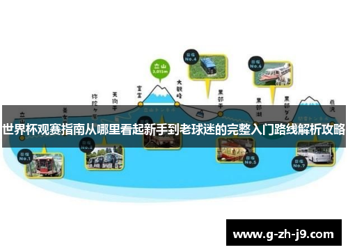 世界杯观赛指南从哪里看起新手到老球迷的完整入门路线解析攻略