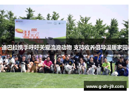 迪巴拉携手呼吁关爱流浪动物 支持收养倡导温暖家园