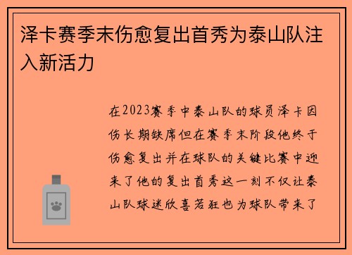 泽卡赛季末伤愈复出首秀为泰山队注入新活力 泽卡赛季末伤愈复出首秀为泰山队注入新活力